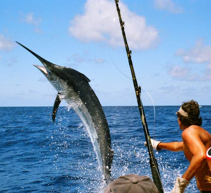Deep sea fishing off the coasts of Fort Myers, Cape Coral, Fort Myers Beach, and Naples
