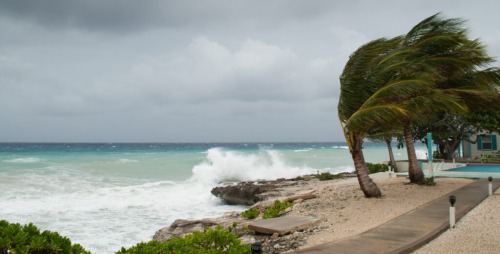 Housing upgrades protect Florida homes