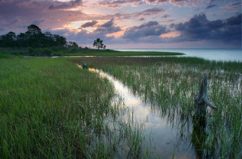 Florida Everglades