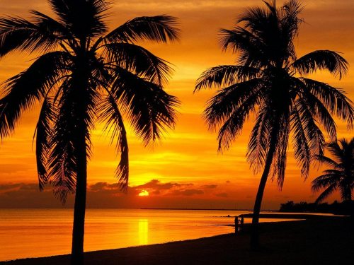 Fort Myers Vacation homes is a more affordable Option